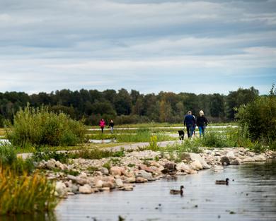 Promenad vid Rynningeviken, Örebro.