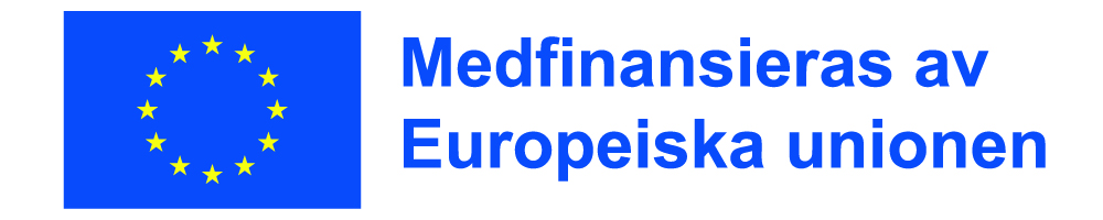Europeiska unionen logotyp + texten Medfinansieras av Europeiska unionen